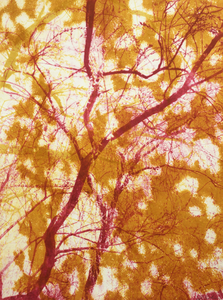 dapples-paperlithograph-34x25-2014